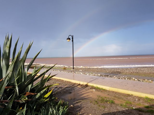 mediation-seminar-zypern-2021-regenbogen-an-promenade